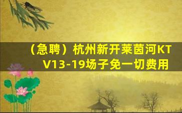泸州夜总会招聘